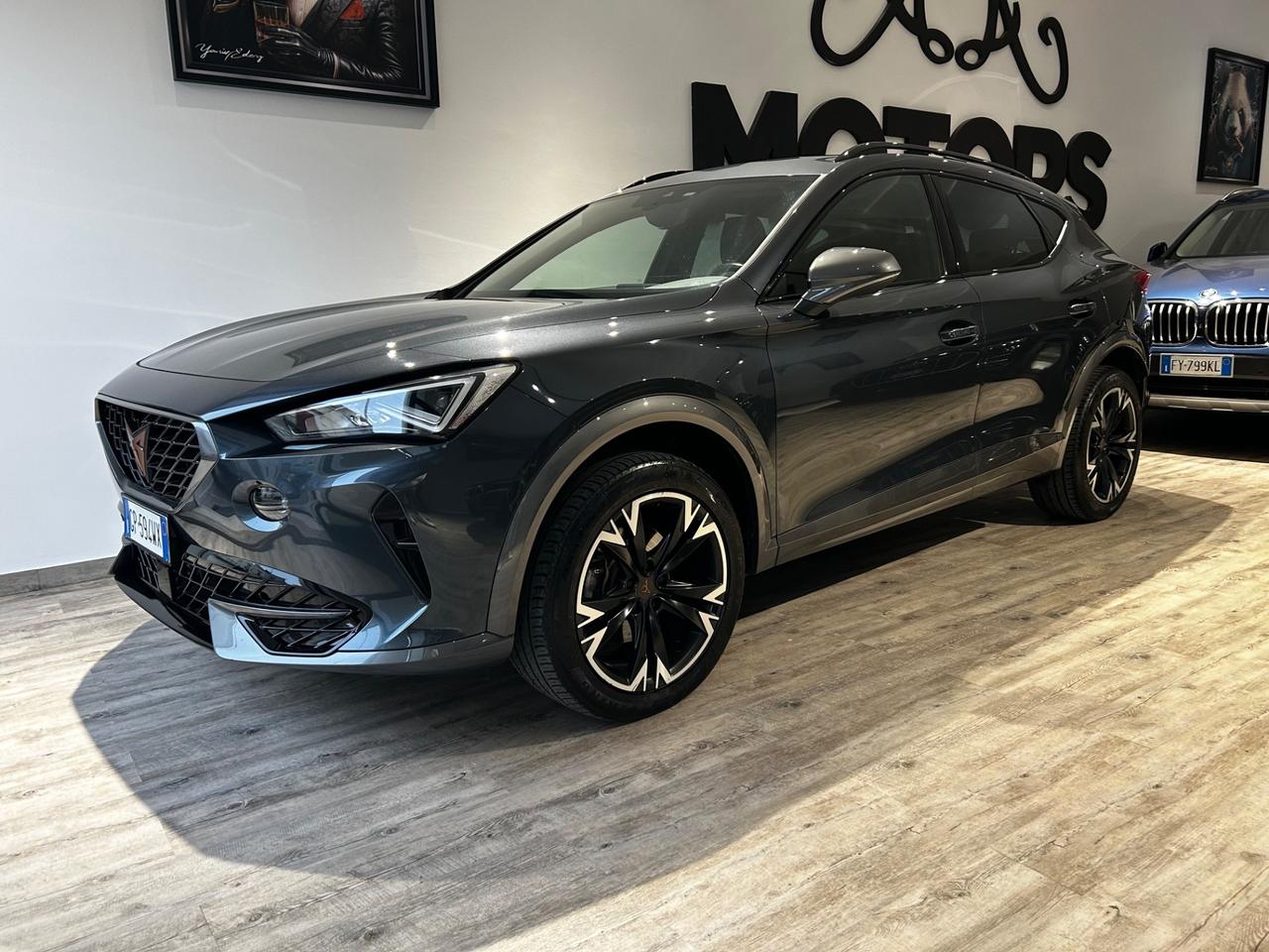 Cupra Formentor 2.0 TDI 4Drive DSG