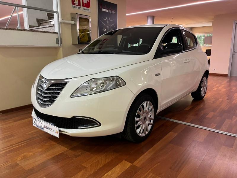 LANCIA Ypsilon 1.2 69 CV 5 porte Elefantino