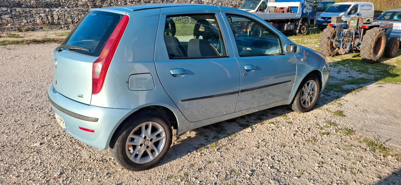 Fiat Punto 1.3 Multijet 16V 5 porte Active