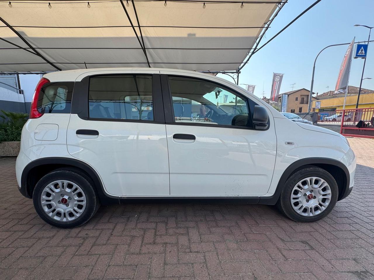Fiat Panda S 1.0 GSE MHEV #11947