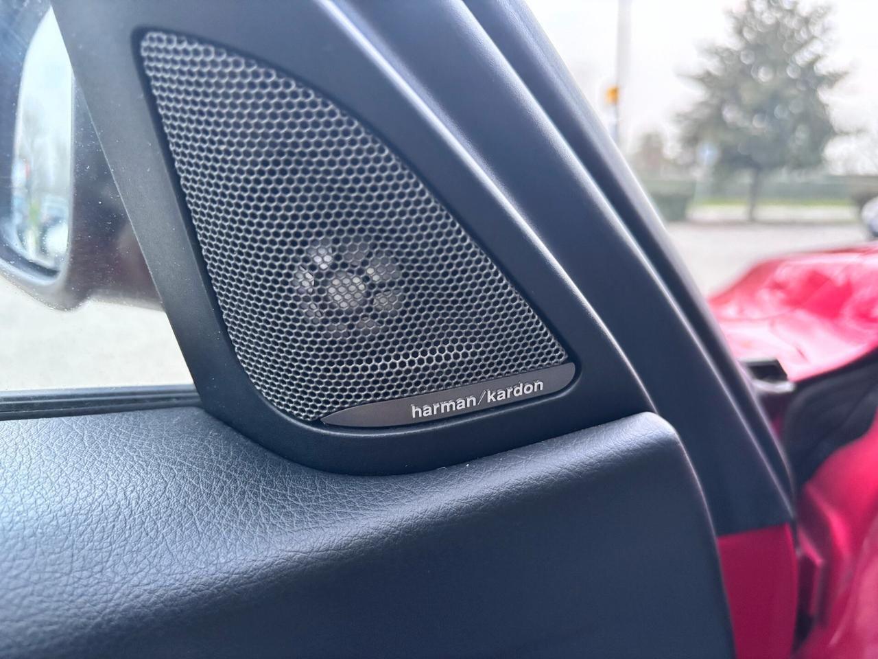 Bmw 320 xDrive Touring Sport TETTO TAGLIANDI