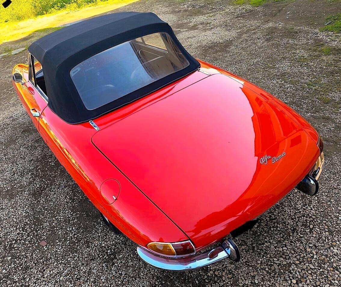 Alfa Romeo Spider 1600 OSSO DI SEPPIA