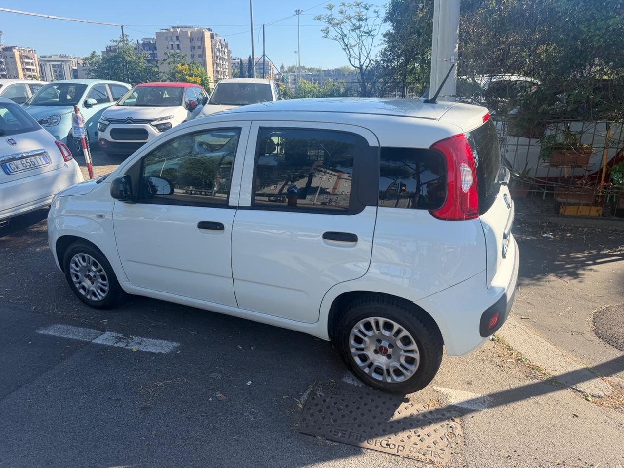 Fiat Panda 1.0 Van cambio manuale clima