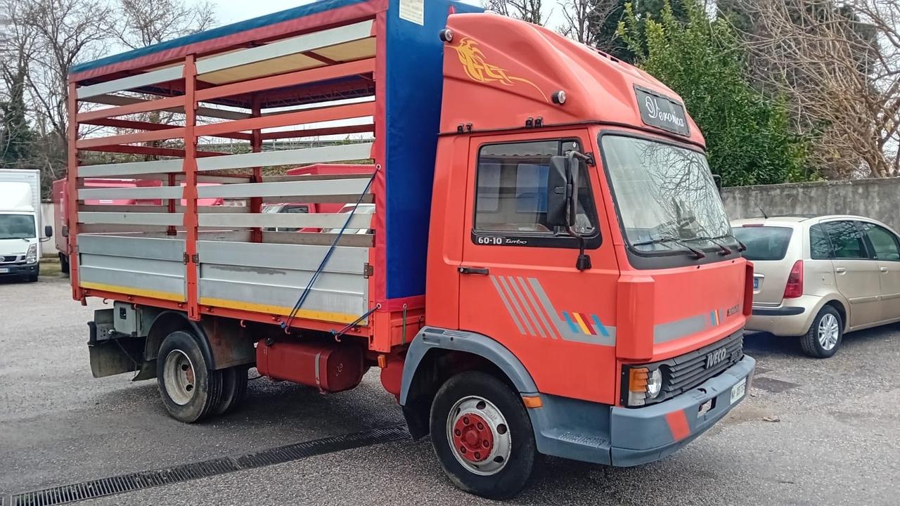 Iveco Seleziona Iveco turbo zeta 50-10-cassone con centina -1984