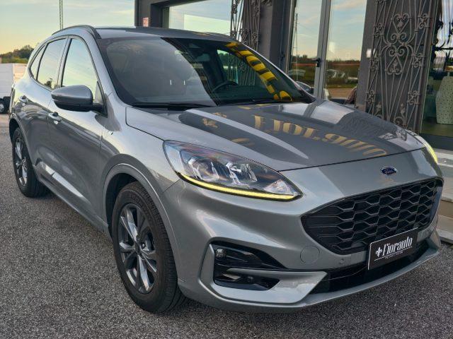 FORD Kuga 1.5 EcoBlue 120 CV 2WD ST-Line