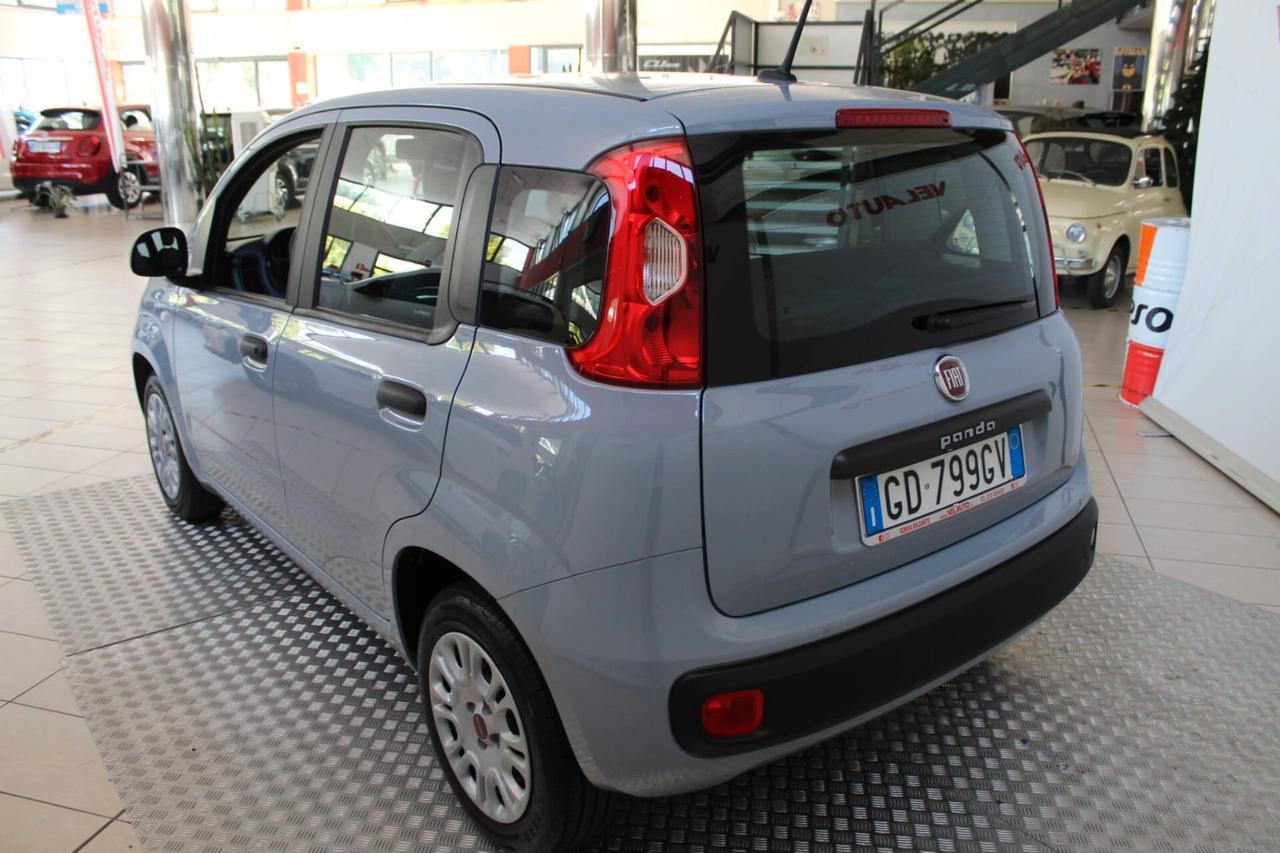 Fiat Panda 1.2 Easy
