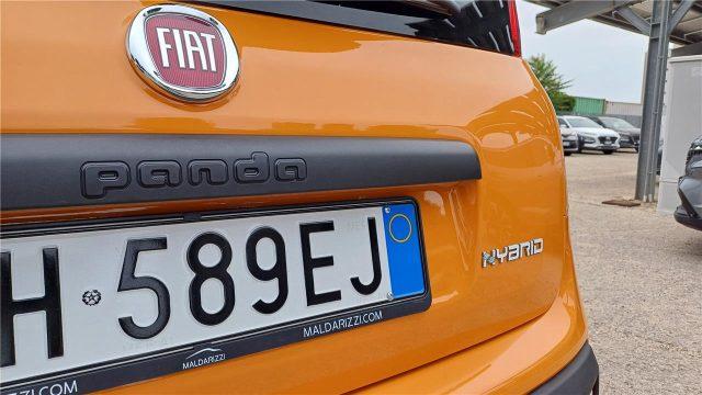 FIAT Panda 3ª serie 1.0 FireFly S&S Hybrid