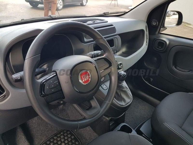 FIAT Panda Panda 1.0 firefly hybrid s&s 70cv