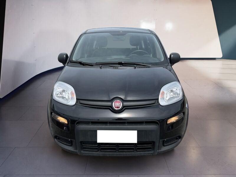 FIAT Panda My23 1.0 70cv Hybrid Panda