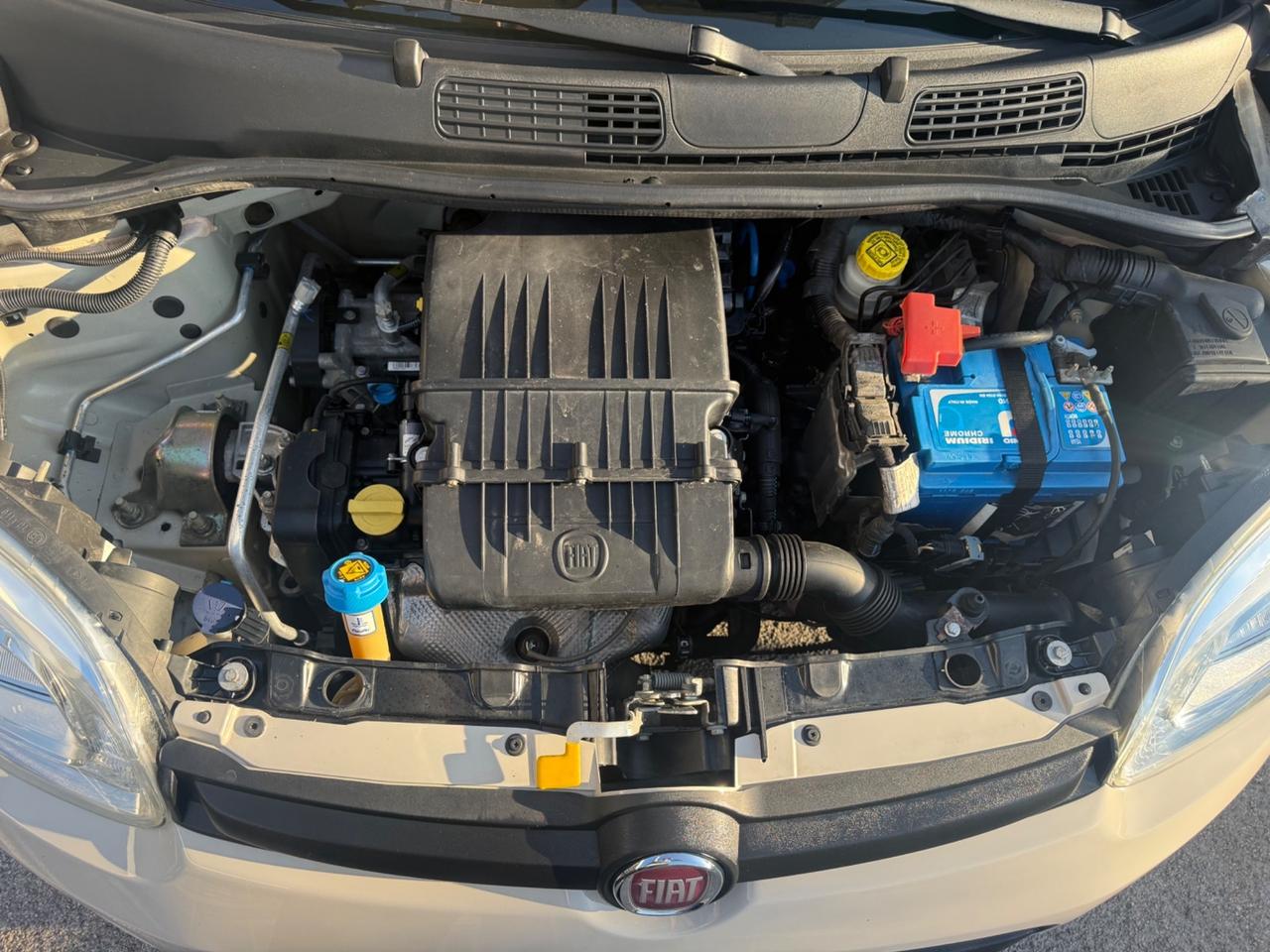 Fiat Panda 1.2 Easy Perfetta