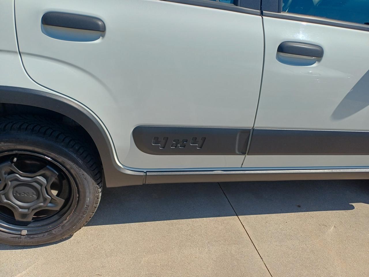 Fiat Panda 0.9 TwinAir Turbo 4x4(GPL)