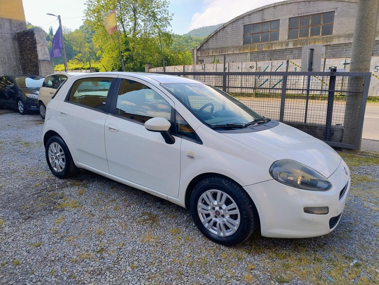 Fiat Punto 1.3 MJT II 75 CV 5 porte Lounge Euro6 NEOPATENTATI
