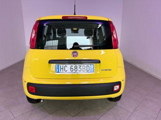 FIAT Pandina 1.0 FireFly 65 CV Hybrid Icon