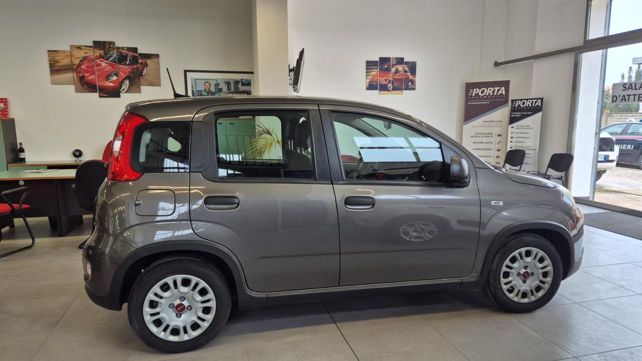 FIAT PANDA 1.0 FireFly 70cv S&S Hybrid City Life