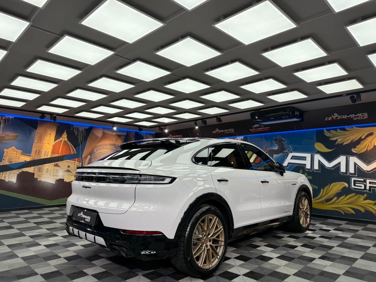 Porsche Cayenne 3.0 V6 E-Hybrid (483)