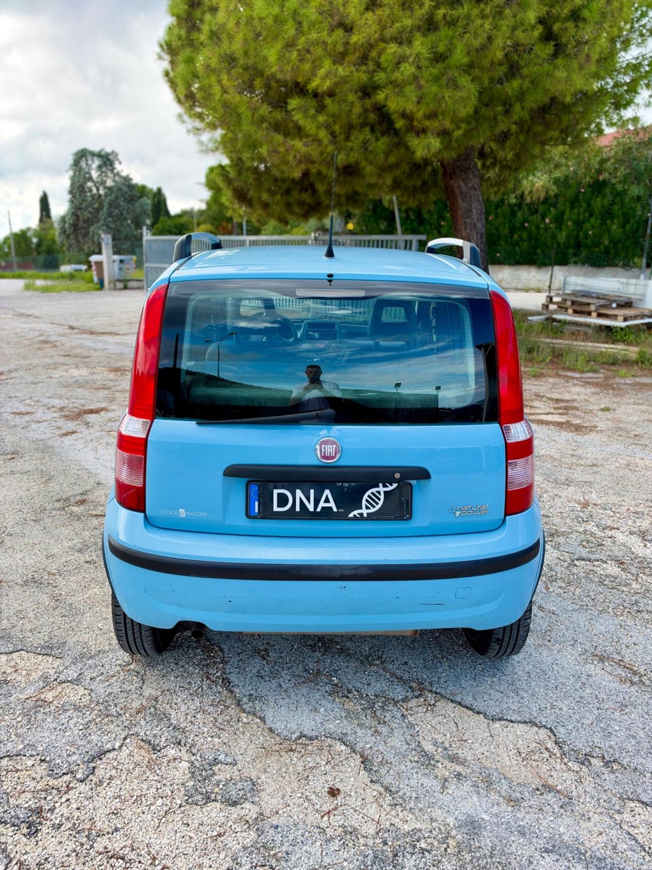 Fiat Panda 1.4 Natural Power benzina metano Neopatentati