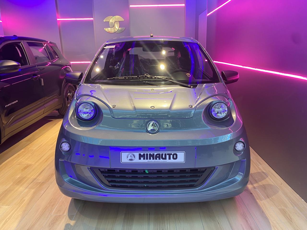 Aixam E-Minauto Access