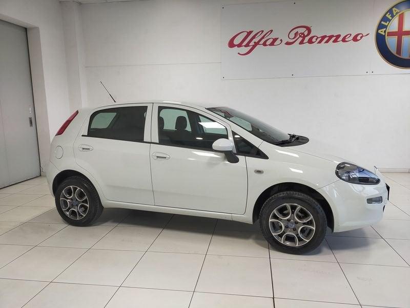 FIAT Punto Punto 1.4 8V 5 porte Natural Power Young