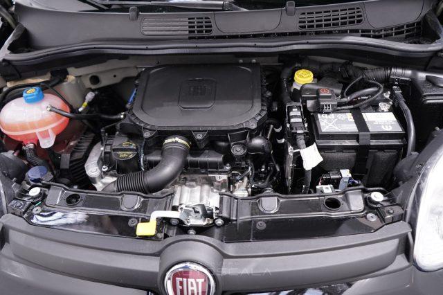 FIAT New Panda My25 1.0 FireFly S&S Hybrid #Pack City #5posto