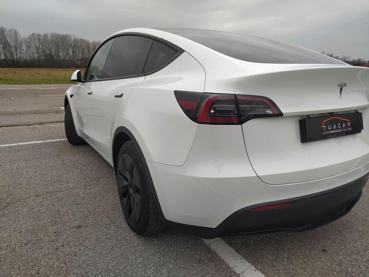 Tesla Model Y Standard Range / Standard #9113
