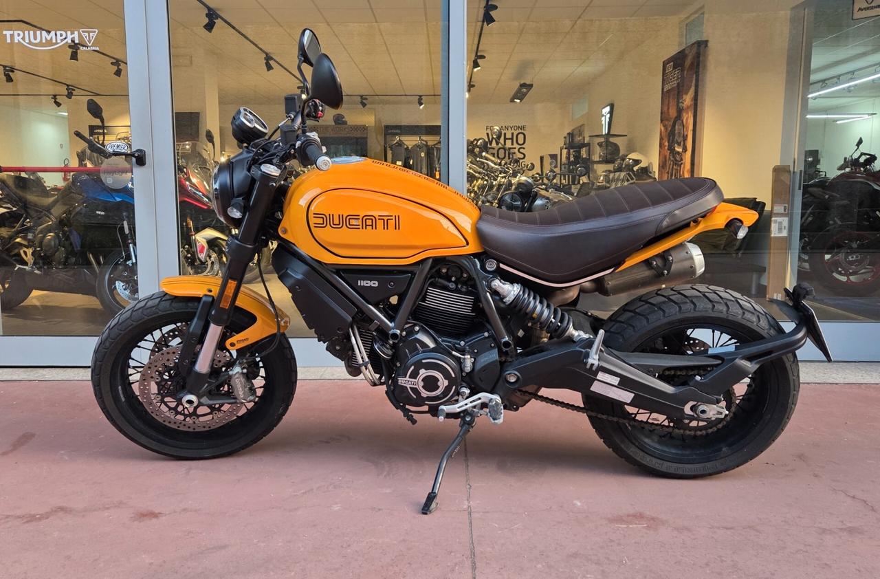 Ducati Scrambler 1100 TRIBUTE PRO