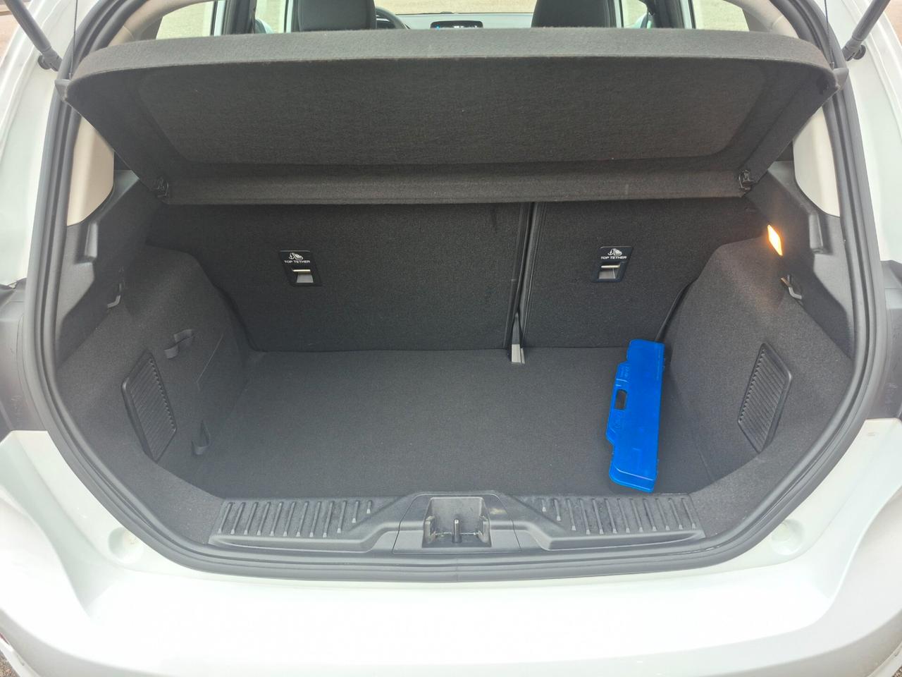 Ford Fiesta 1.5 EcoBlue 5 porte Business