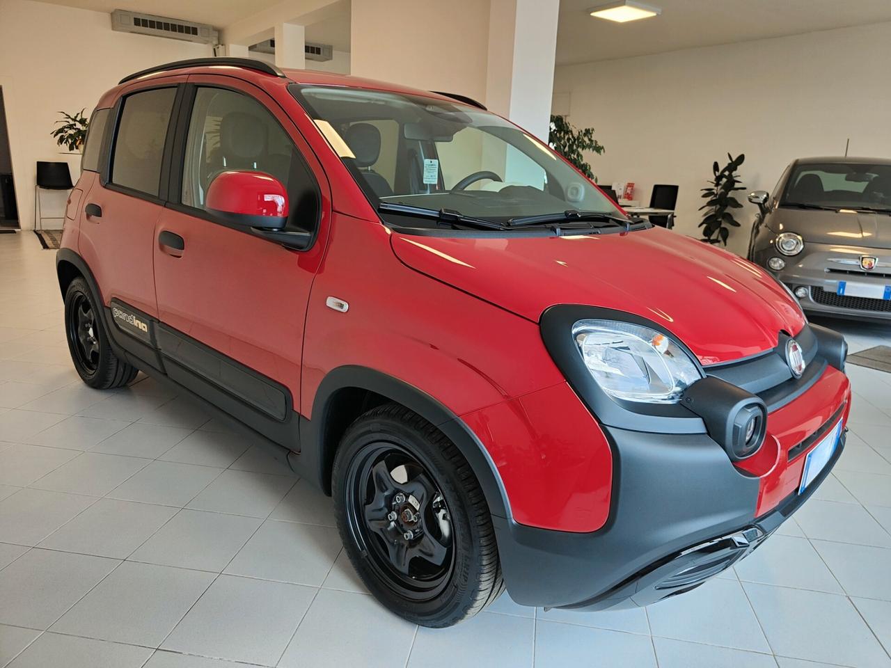 Fiat Panda 1.0 FireFly S&S Hybrid Pandina Cross