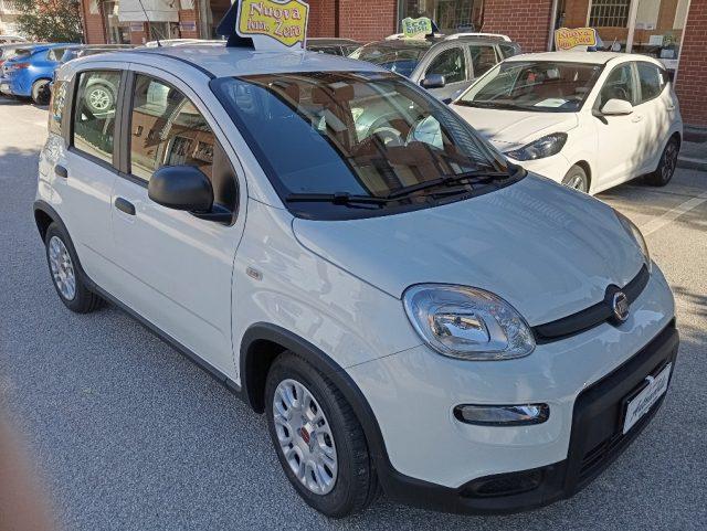 FIAT Panda 1.0 FireFly S&S Hybrid KM 0 OK NEOPATENTATI