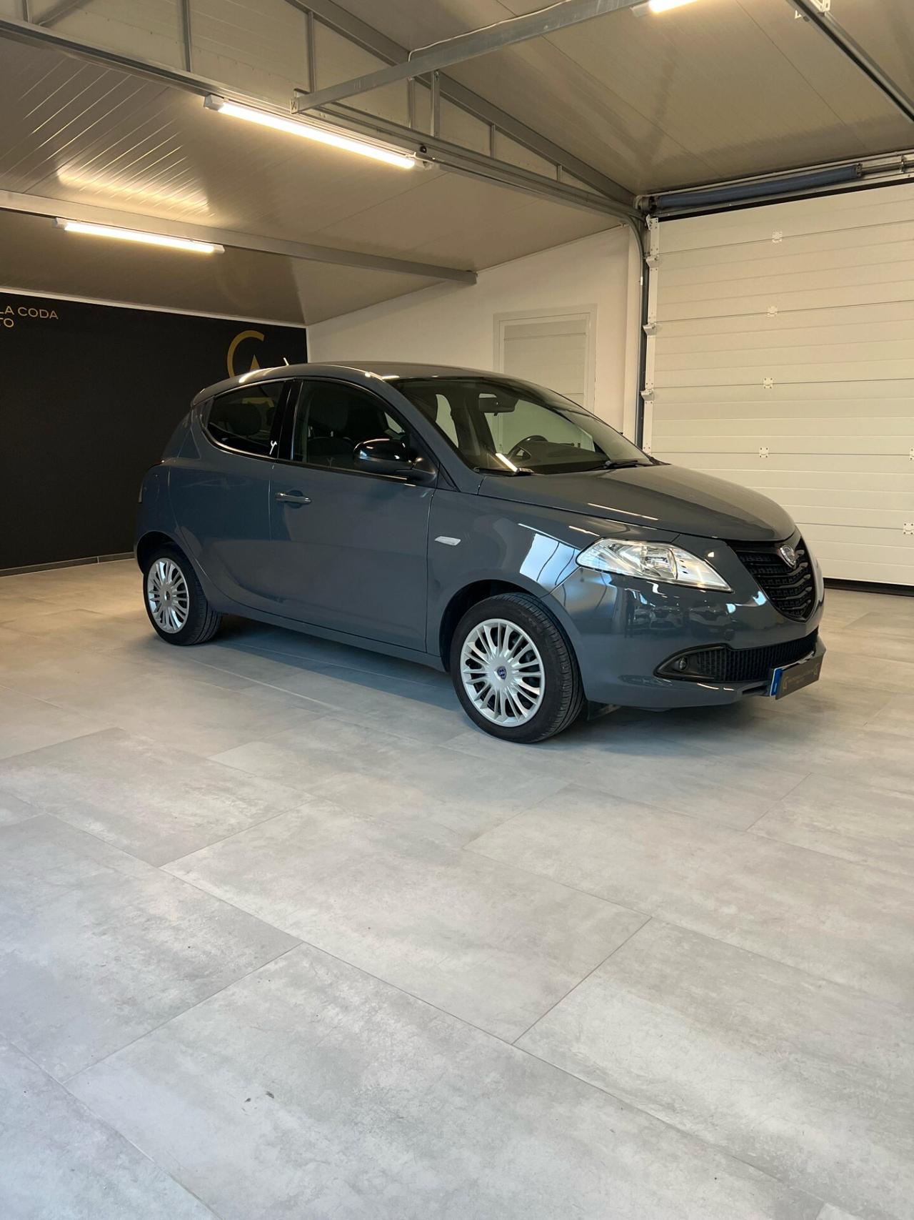 Lancia Ypsilon 1.3 MJT 16V 95 CV 5 porte S&S Elefantino