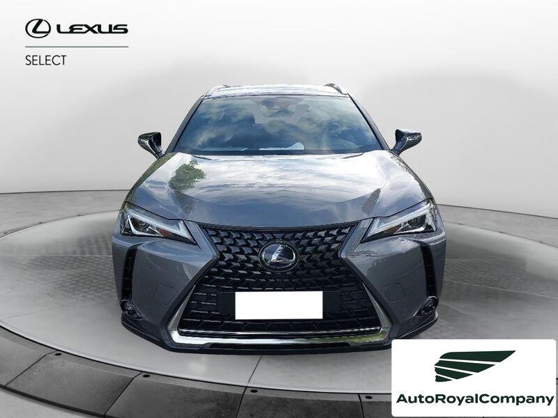Lexus UX Hybrid Executive
