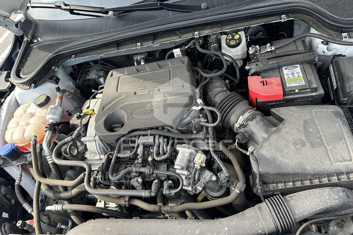 FORD Focus 1.0 EcoBoost 100 CV 5p. Business