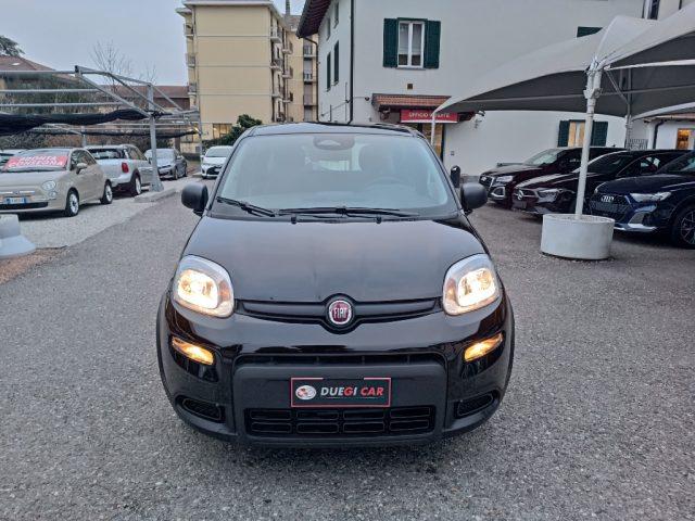 FIAT Panda 1.0 FireFly S&S Hybrid Pandina