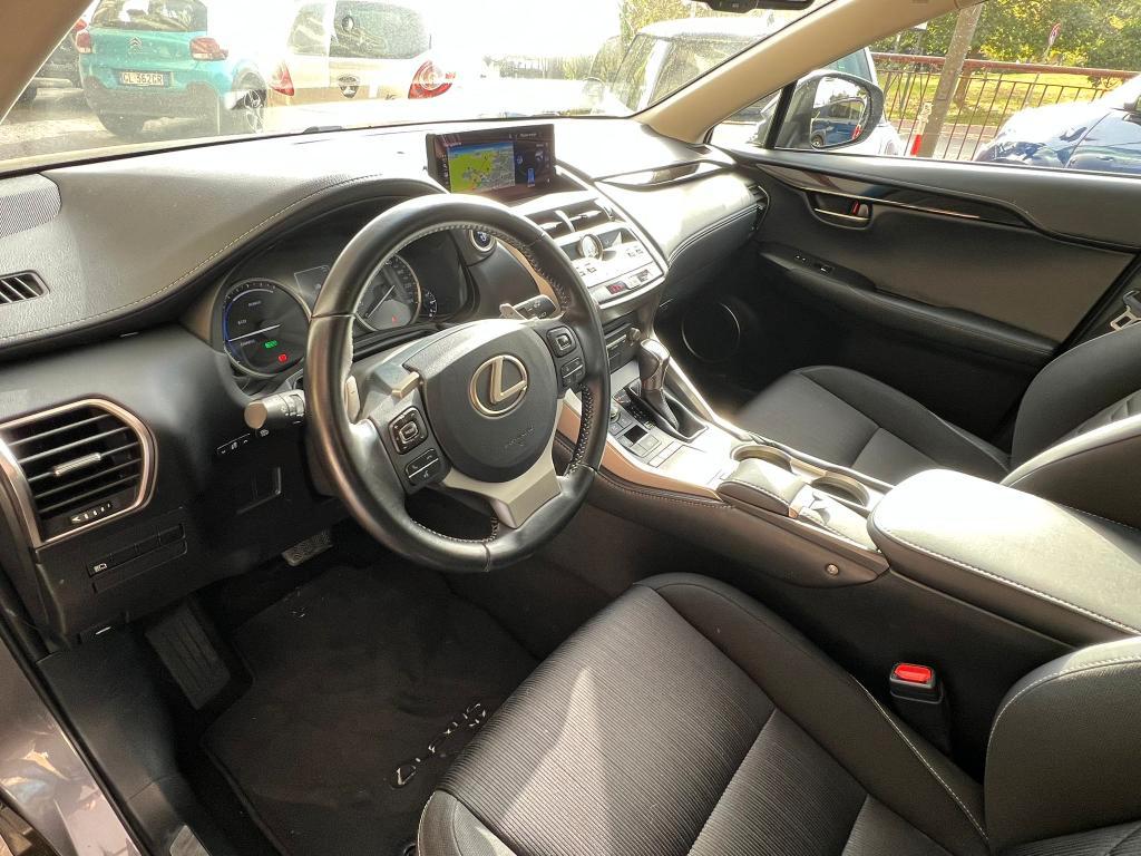 Lexus NX 300h 2.5 Business 4wd cvt