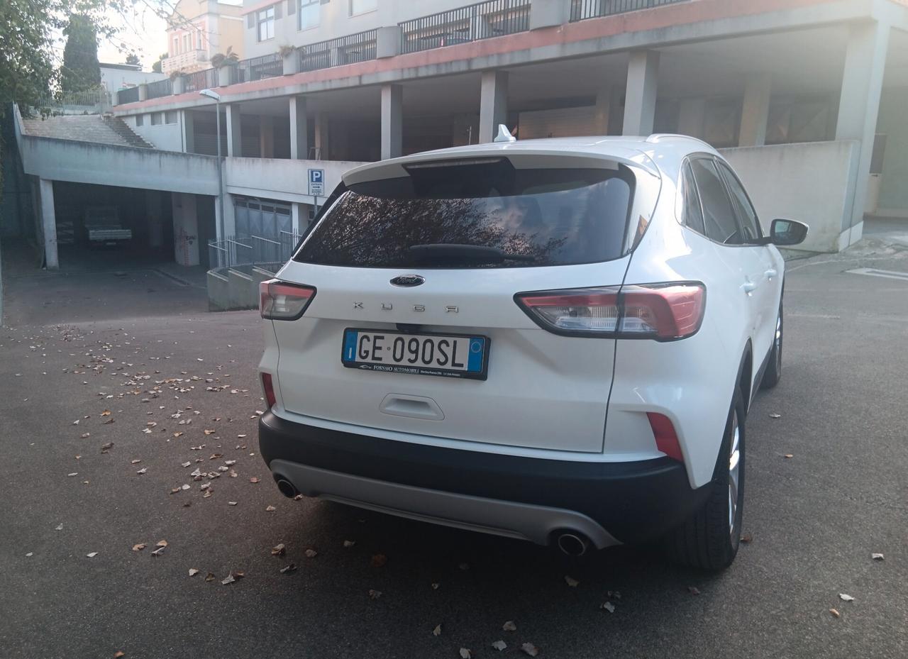 Ford Kuga 1.5 EcoBlue 120 CV 2WD Titanium Business