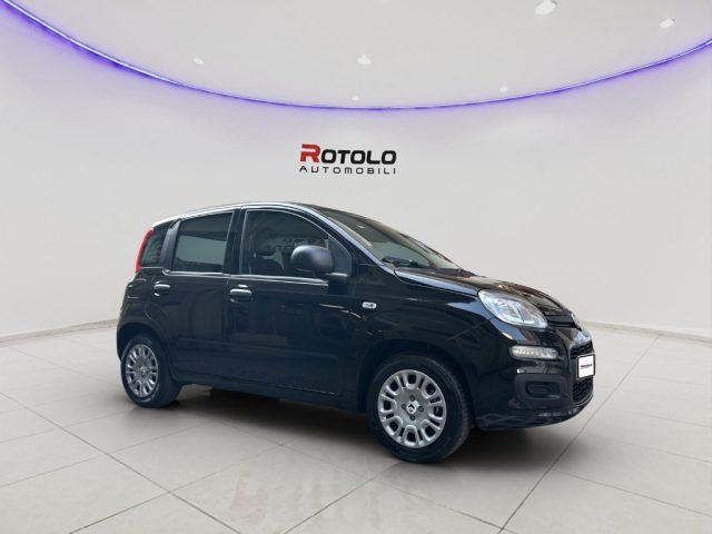 FIAT Panda Promo Car Serenity