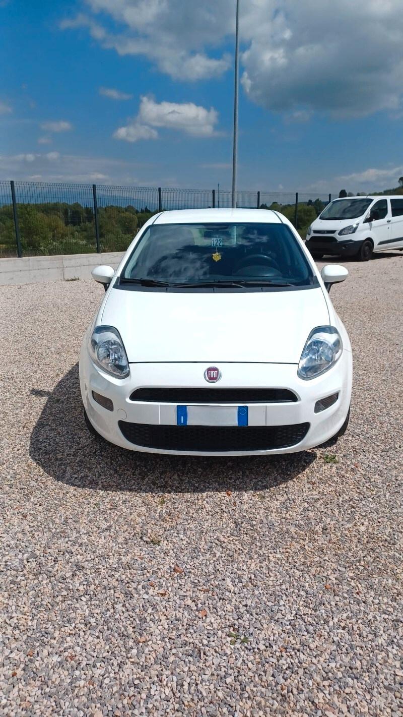 FIAT Punto 4ª serie Punto 1.2 8V 5 porte Street