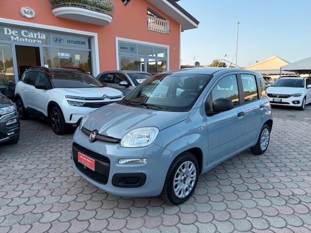 Fiat Panda 1.2 Benz. 70CV Easy - 2018