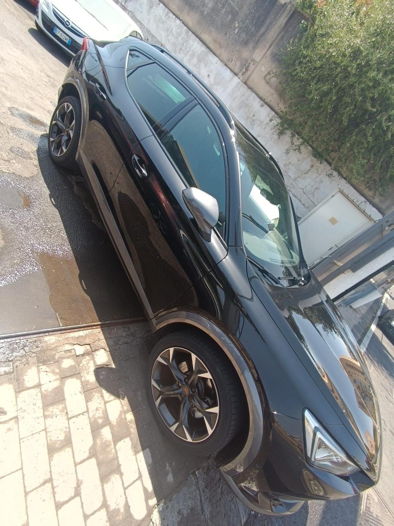 Cupra Formentor 2.0 TSI 4Drive DSG