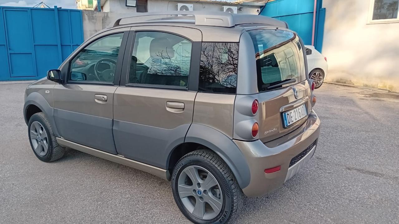Fiat Panda cross 4 × 4-1.3 mjt-2007