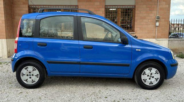 FIAT Panda 1.2 Dynamic 60 CV NEOPATENTATI GARANZIA