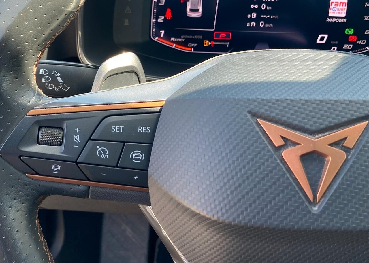 Cupra Formentor 2.0 TDI 150CV DSG 4drive Tetto