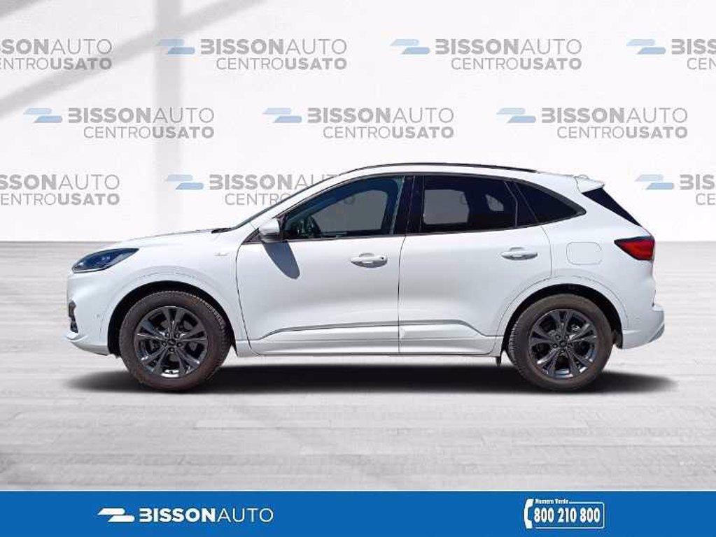 FORD Kuga 1.5 ecoblue ST-Line 2wd 120cv del 2021