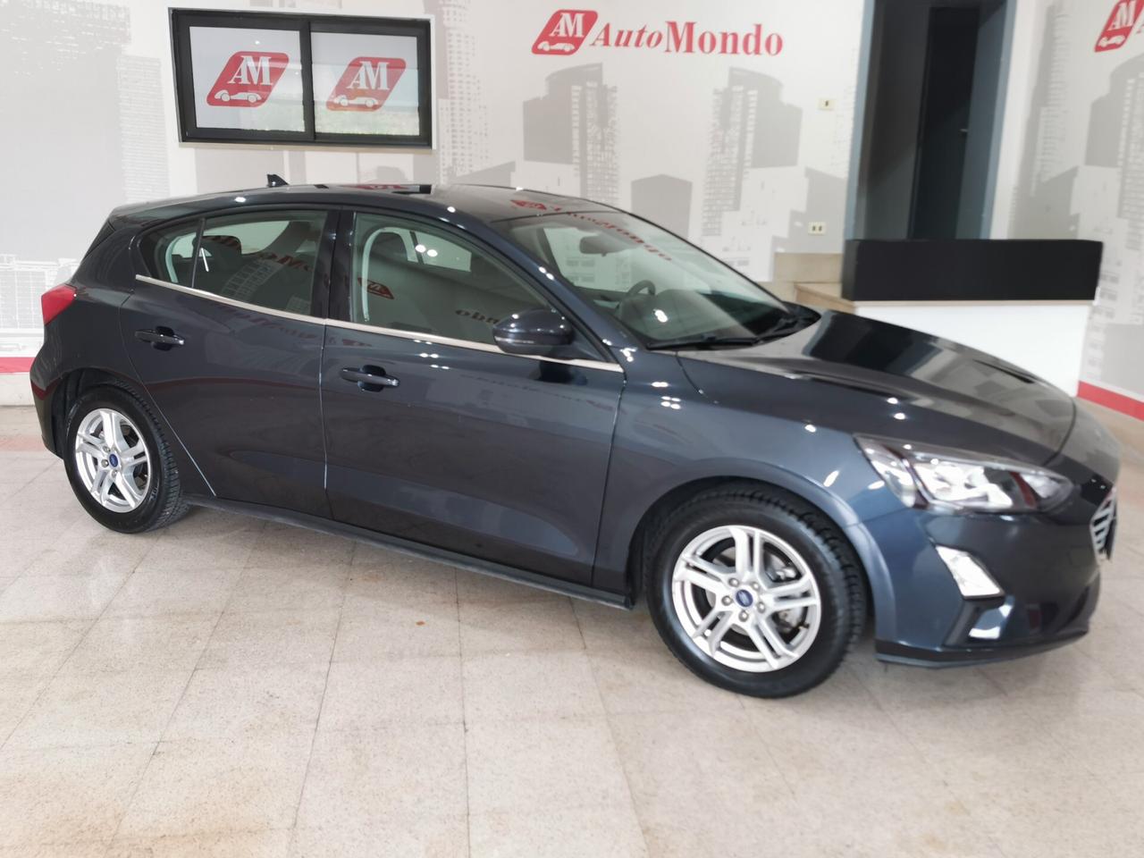 Ford Focus 1.5 EcoBlue 120 CV 5p. Business