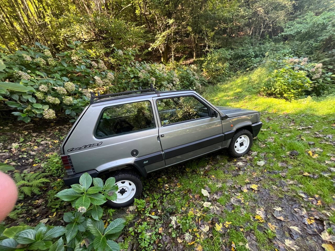 Fiat Panda 1000 i.e. cat 4x4 Trekking