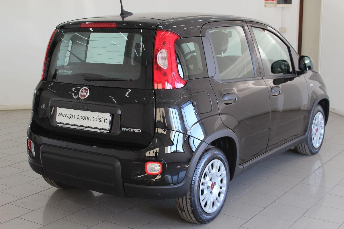 FIAT - Panda - 1.0 FireFly S&S Hybrid Launch Ed.