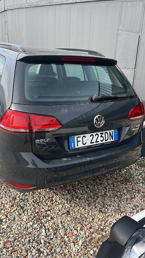 VOLKSWAGEN Golf Variant 1.6 TDI 90 CV Trendline