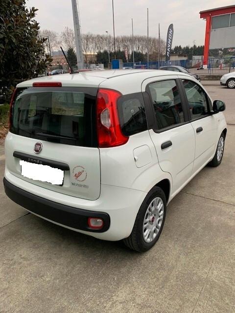Fiat Panda 1.0 FireFly S&S Hybrid Easy