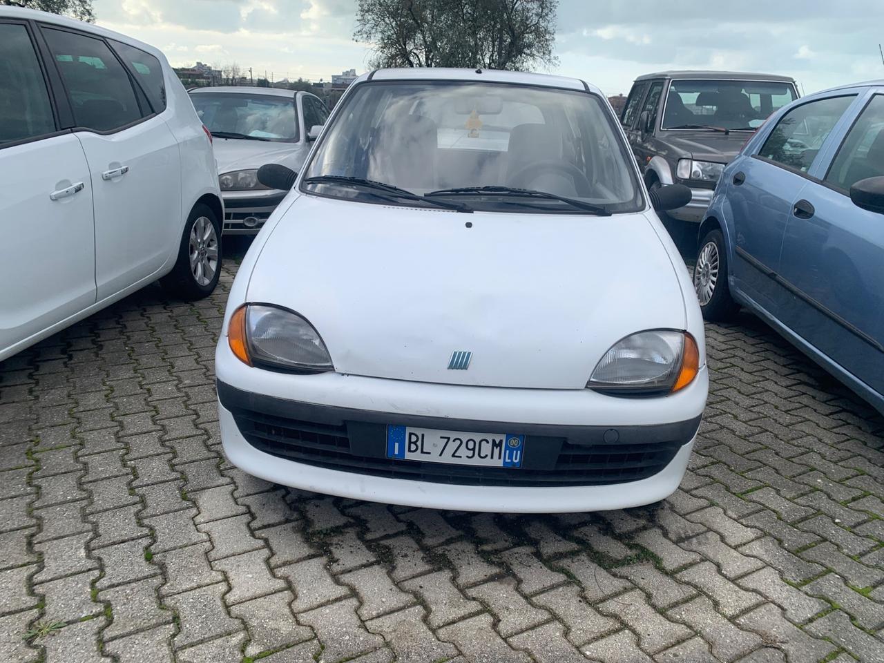 Fiat Seicento 900i cat Young