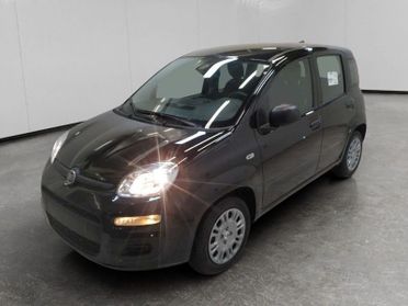 FIAT Pandina 1.0 firefly hybrid Icon s&s 70cv