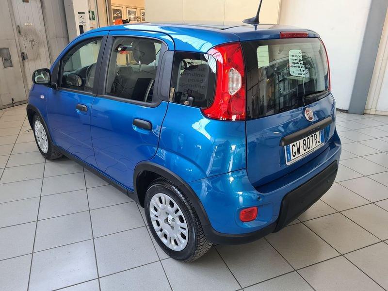 FIAT Panda 1.0 FireFly 70cv S&S Hybrid Pandina
